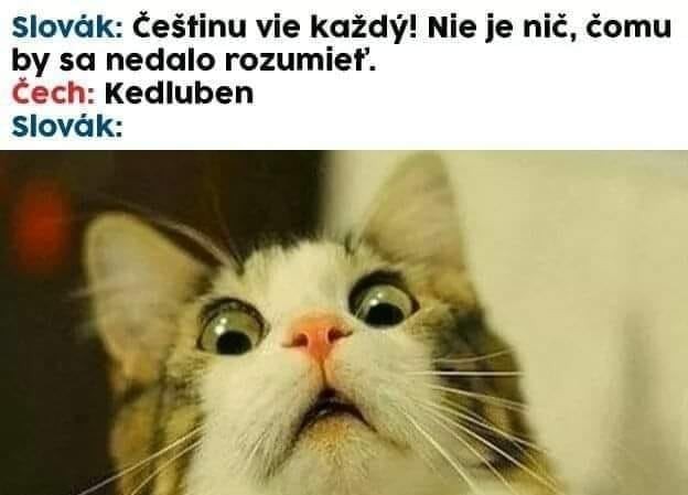 609cee6254c92