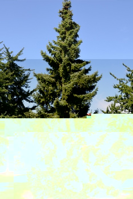 6158e4f4883a3
