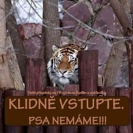 61eda9ee34242