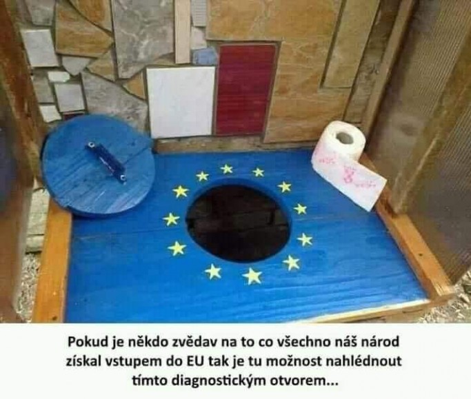 6240333654733